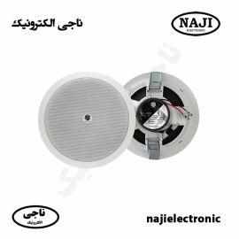 بلندگو سقفی 10W ولتی اهمی M-101