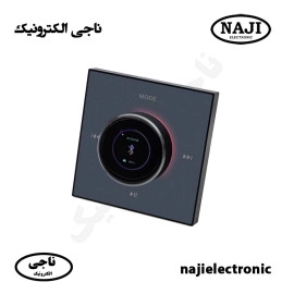 آمپلی فایر دیواری MZ-120