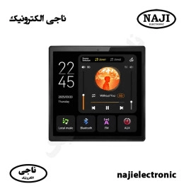 آمپلی فایر دیواری MZ-142