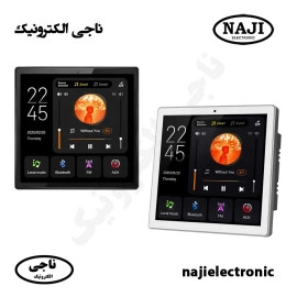 آمپلی فایر دیواری MZ-142