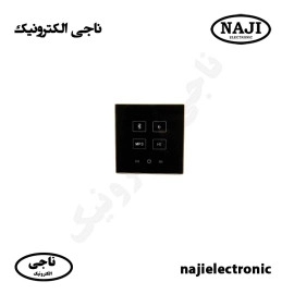 آمپلی فایر دیواری فونیکس PH-115BU