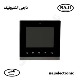 آمپلی فایر دیواری بلوتوثی فونیکس PH-315BU 