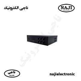 آمپلی فایر رومیزی 50W فونیکس PH-50BU