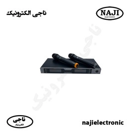 میکروفون بیسیم دوکانال حرفه ای فونیکس 15000