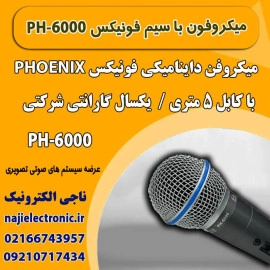 میکروفون باسیم فونیکس PH-6000