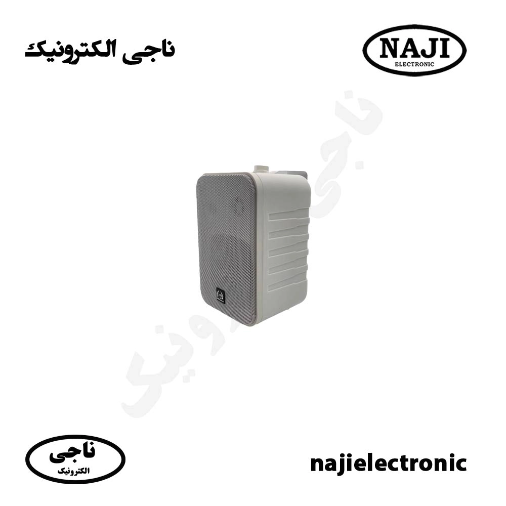 بلندگو دیواری دکوراتیو فونیکس PH-224T