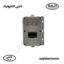 بلندگو دیواری دکوراتیو فونیکس PH-224T