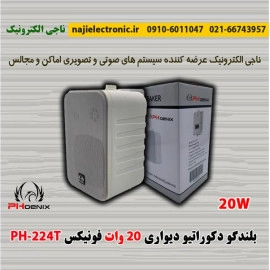 بلندگو دیواری دکوراتیو فونیکس PH-224T