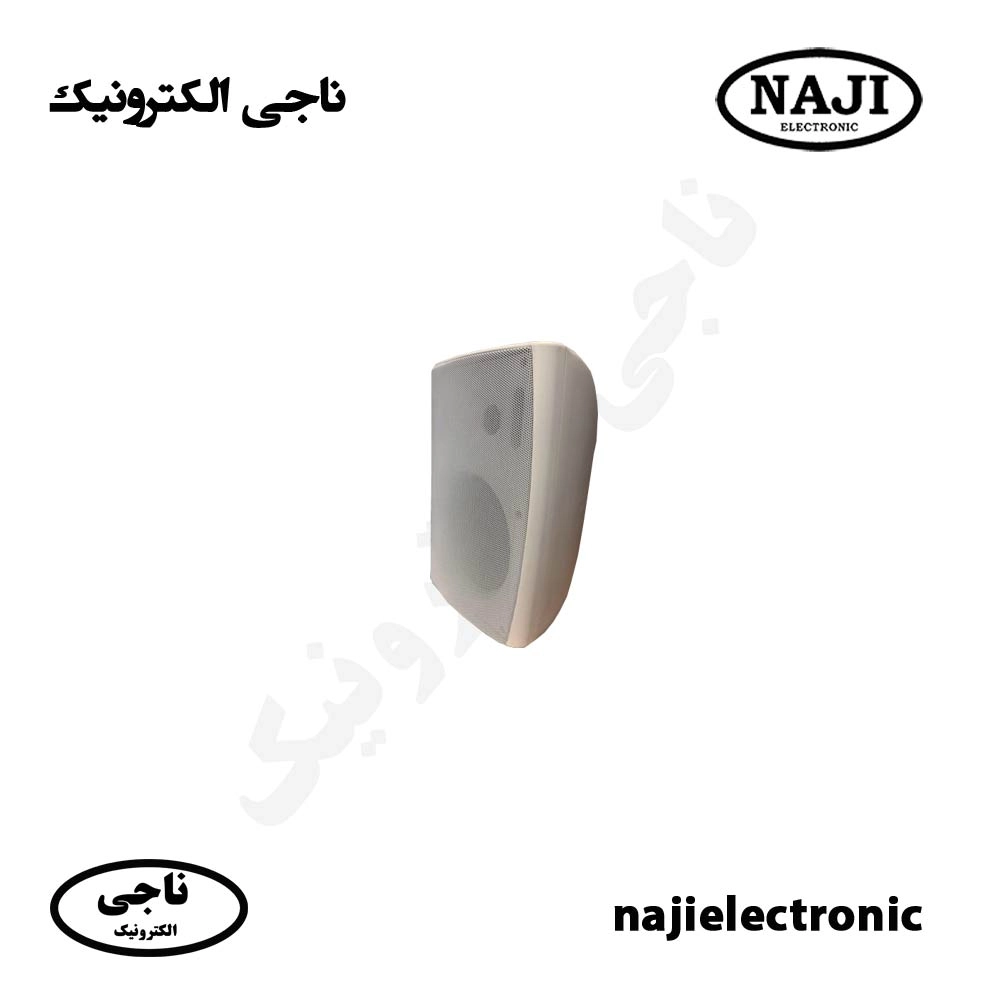 بلندگو دیواری 30W فونیکس PH-225T