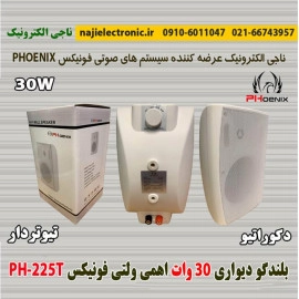 بلندگو دیواری 30W فونیکس PH-225T
