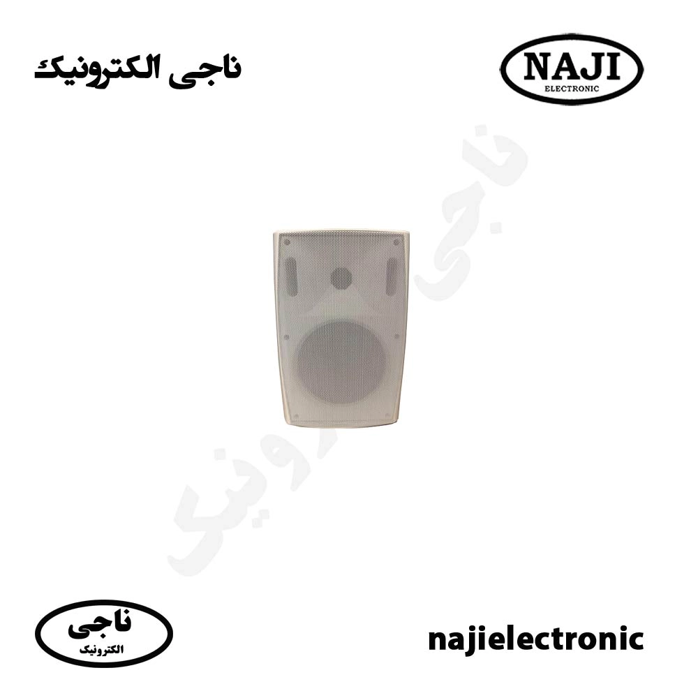 بلندگو دیواری دکوراتیو 40W فونیکسPH226T