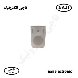 بلندگو دیواری دکوراتیو 40W فونیکسPH226T