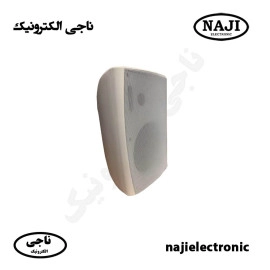 بلندگو دیواری دکوراتیو 40W فونیکسPH226T