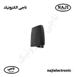 بلندگو دیواری دکوراتیو 80W فونیکسPH228T