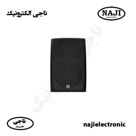 بلندگو دیواری دکوراتیو 80W فونیکسPH228T