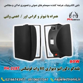 بلندگو دیواری دکوراتیو 80W فونیکسPH228T