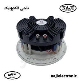 بلندگو سقفی 60 وات فونیکس PH-5060