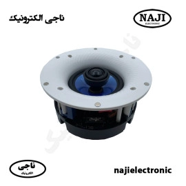 بلندگو سقفی 60 وات فونیکس PH-5060