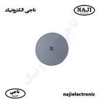 بلندگو سقفی 100 وات فونیکس PH-6100