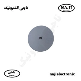 بلندگو سقفی 100 وات فونیکس PH-6100