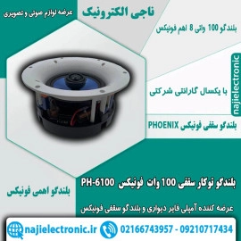 بلندگو سقفی 100 وات فونیکس PH-6100