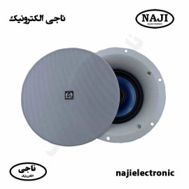 بلندگو سقفی 100 وات فونیکس PH-6100