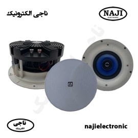 بلندگو سقفی 100 وات فونیکس PH-6100