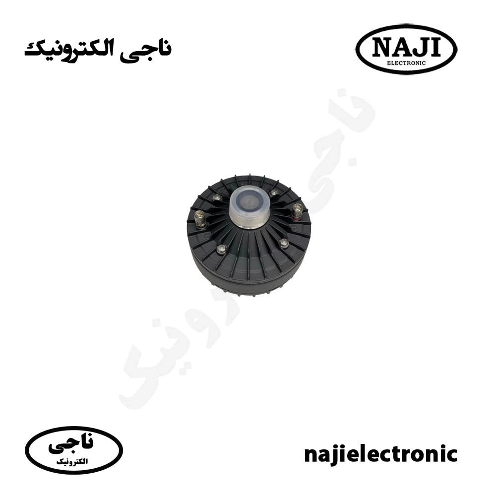 یونیت اهمی 100W فونیکس PH-101B