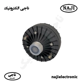 یونیت اهمی 100W فونیکس PH-101B