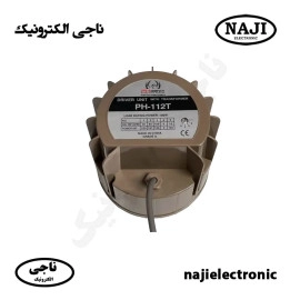 یونیت اهمی ولتی 100W فونیکس PH-112T