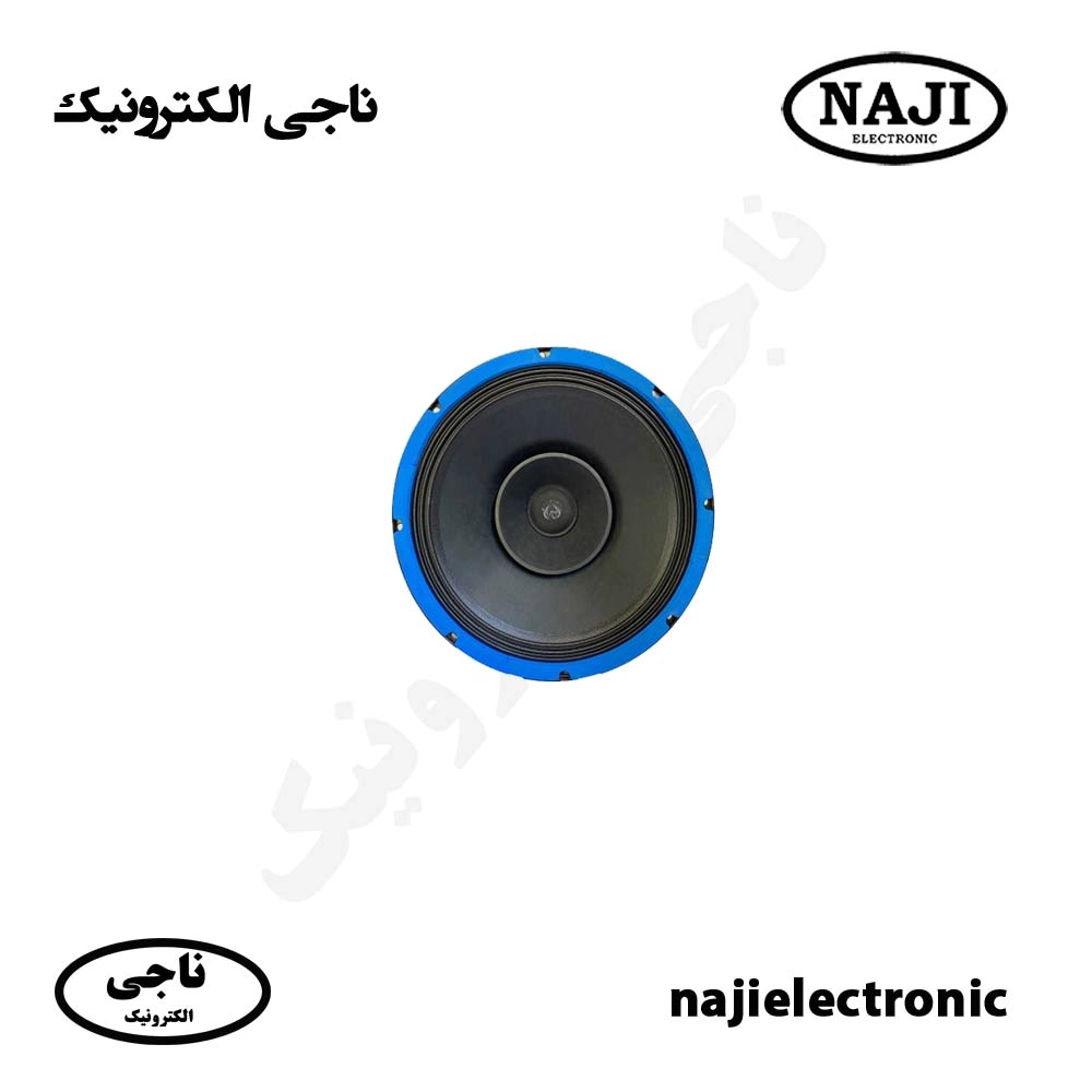 بلندگو فول رنج 12 اینچی فونیکس PH-12200