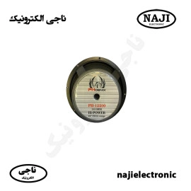 بلندگو فول رنج 12 اینچی فونیکس PH-12200