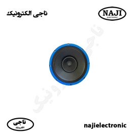 بلندگو فول رنج 12 اینچی فونیکس PH-12200