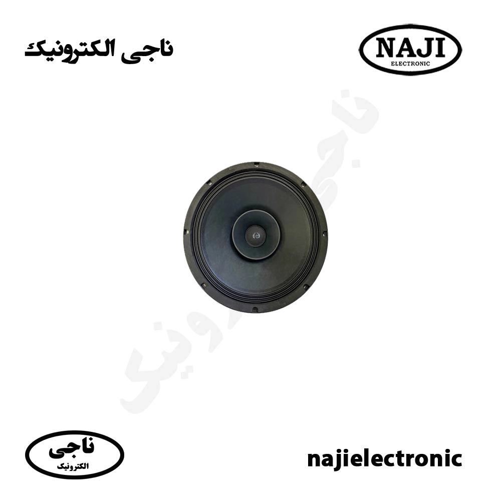بلندگو فول رنج 12 اینچ فونیکس PH-12500