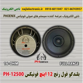 بلندگو فول رنج 12 اینچ فونیکس PH-12500