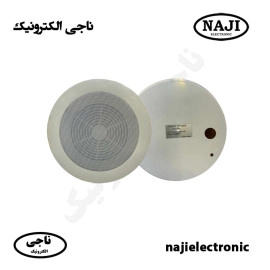 بلندگو سقفی روکار فونیکس PH-106T