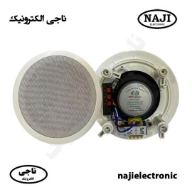بلندگو سقفی توکار 10W فونیکس PH-1100
