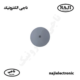 بلندگو سقفی 30W فونیکس PH-116