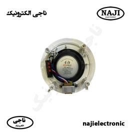 بلندگو سقفی توکار 20W فونیکس PH-1200T
