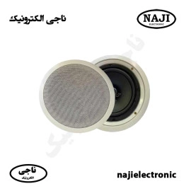 بلندگو سقفی توکار 20W فونیکس PH-1200T