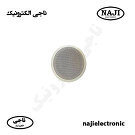 بلندگو سقفی توکار 30W فونیکس PH-1300T