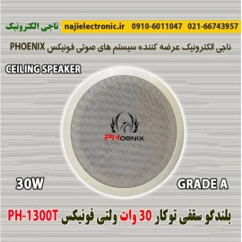 بلندگو سقفی توکار 30W فونیکس PH-1300T