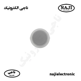 بلندگو سقفی فونیکس PH-205T