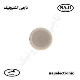 بلندگو سقفی تیوتردار 10W فونیکس PH-2100T
