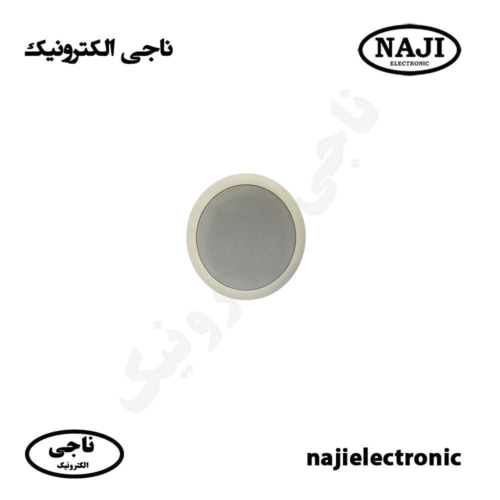 بلندگو سقفی 6 وات فونیکس PH-405