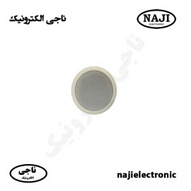 بلندگو سقفی 6 وات فونیکس PH-405