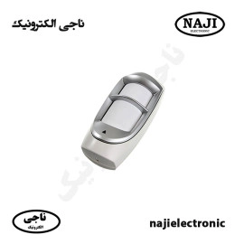 چشم وزنی دزدگیر اماکنDG85