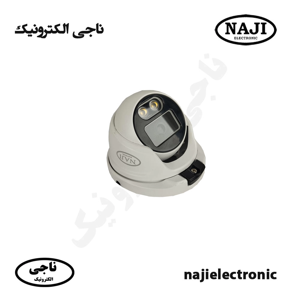 دوربین دام فلزی IP چهارمگاپیکسل وارم لایتIPC-NE-D4224WA