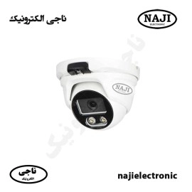 دوربین دام فلزی IP چهارمگاپیکسل وارم لایتIPC-NE-D4224WA