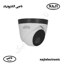 دوربین مداربسته دام 2MP گپ D6100-P